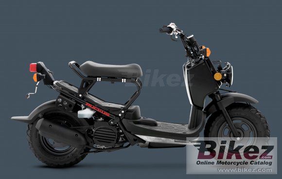 2011 Honda Ruckus photo